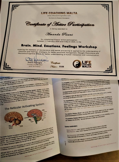 Course notes bundle and certificate for Brain-Mind, Emotion-Feeling